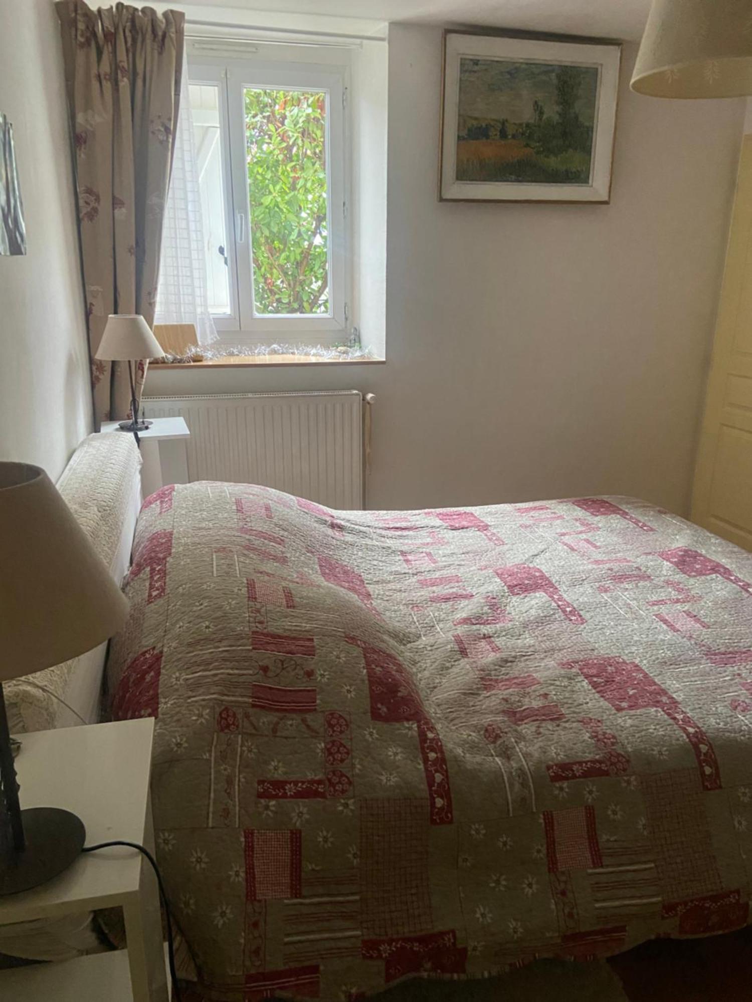 Les Lucioles Apartment Thonon-les-Bains Luaran gambar