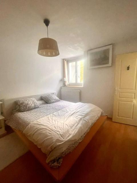 Les Lucioles Apartment Thonon-les-Bains Luaran gambar