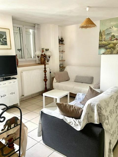 Les Lucioles Apartment Thonon-les-Bains Luaran gambar