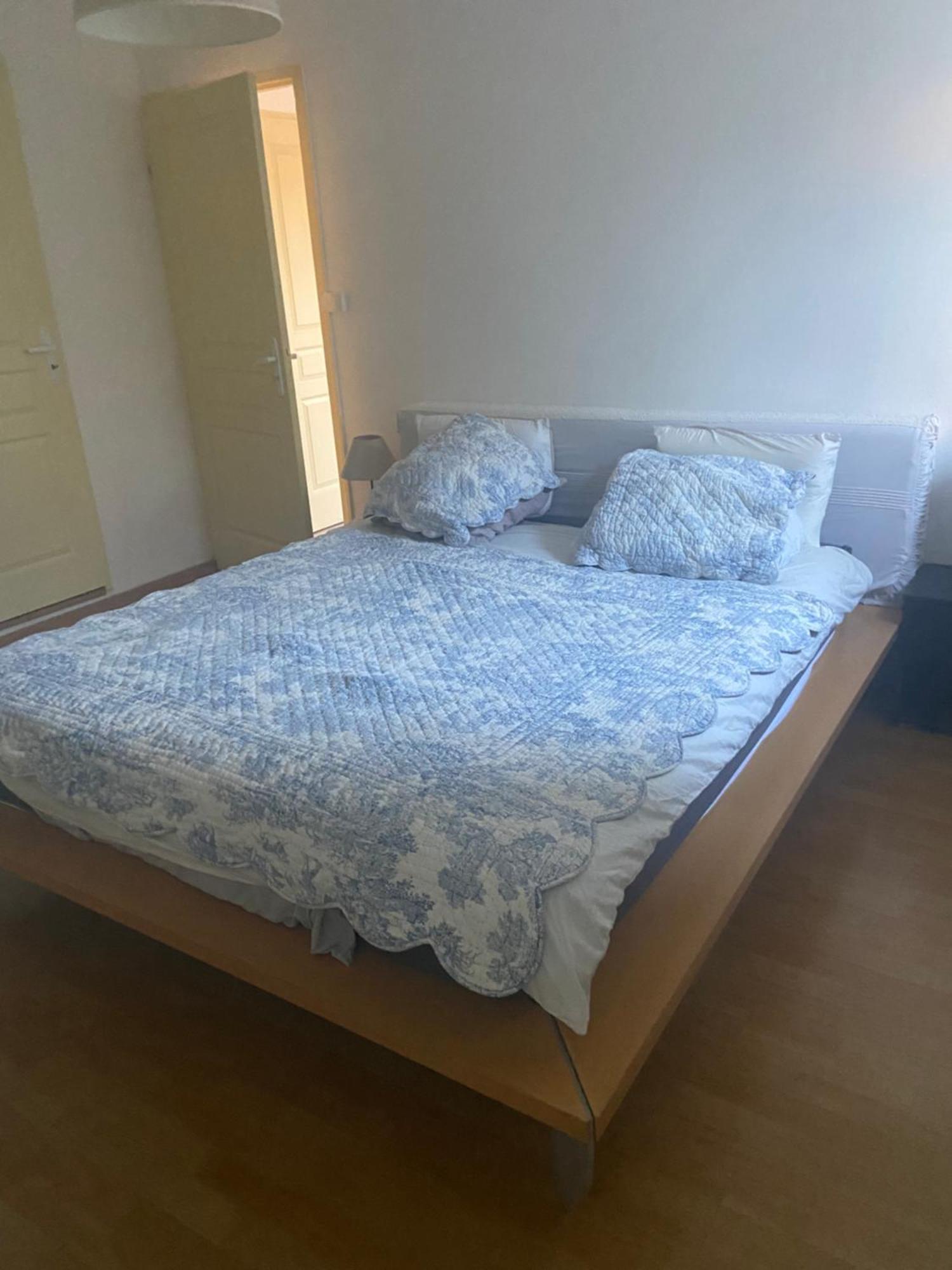 Les Lucioles Apartment Thonon-les-Bains Luaran gambar